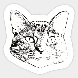 Domestic Shorthair gift for Domestic Shorthair Owners Sticker